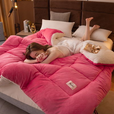 Sviluppo del sonno sano Quilt elegante Comfort più morbido più confortevole Pesante peso Sherpa-back