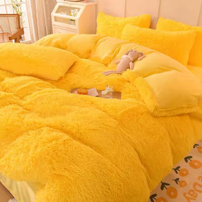 Set letto a colori arcobaleno pelliccia velluto pelosa pelliccia morbida lenzuola di lusso set di 4 pezzi
