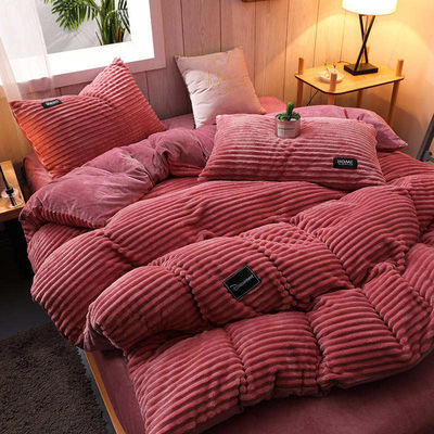 Set di biancheria da letto di flannel 4 pcs Lenzuola singola Set di tessuto Densità 133x72 Queen King Size