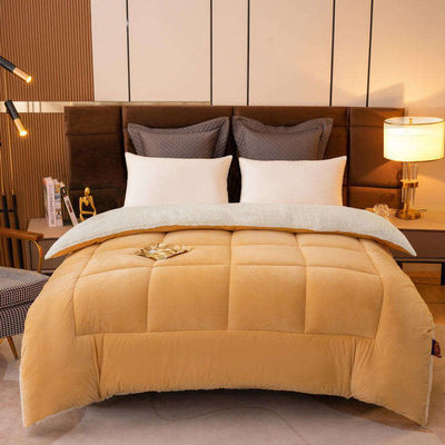 Home 2023 Spessore rosa chiaro solido soffici comodini per inverno biancheria da letto super calda