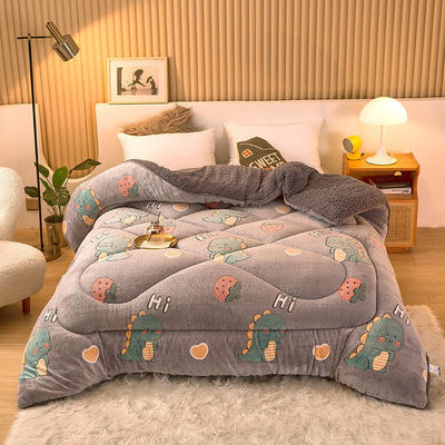 Campione sostenibile Super morbido caldo confortevole Winter Quilt doppio lato Soft Velvet Comforter