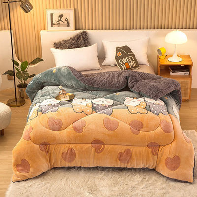 Campione sostenibile Super morbido caldo confortevole Winter Quilt doppio lato Soft Velvet Comforter