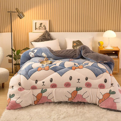 Campione sostenibile Super morbido caldo confortevole Winter Quilt doppio lato Soft Velvet Comforter