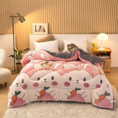 Campione sostenibile Super morbido caldo confortevole Winter Quilt doppio lato Soft Velvet Comforter