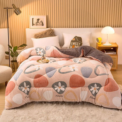 Campione sostenibile Super morbido caldo confortevole Winter Quilt doppio lato Soft Velvet Comforter