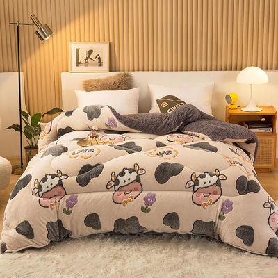 Campione sostenibile Super morbido caldo confortevole Winter Quilt doppio lato Soft Velvet Comforter