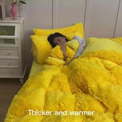 128x68 Densità di tessuto Vernice pelliccia velluto pelosa biancheria da letto di peluche set 4 pezzi colore arcobaleno