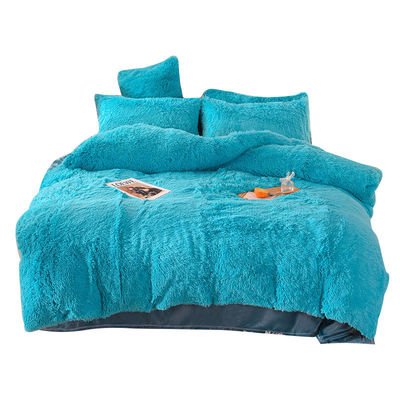 128x68 Densità di tessuto Vernice pelliccia velluto pelosa biancheria da letto di peluche set 4 pezzi colore arcobaleno