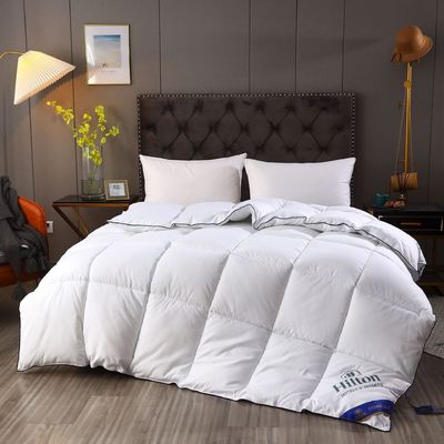 Hilton Duvet Double Spring Autumn Winter Quilt Core e Hot Style per micro-imprese