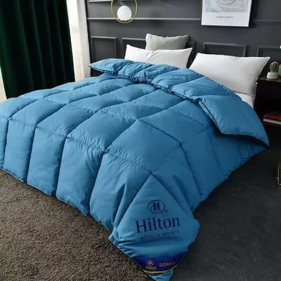 Hilton Duvet Double Spring Autumn Winter Quilt Core e Hot Style per micro-imprese