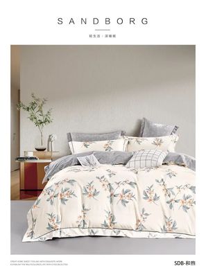 Apparecchi domestici Luxury 40s Set di lenzuola di cotone con lenzuola di cotone 100%